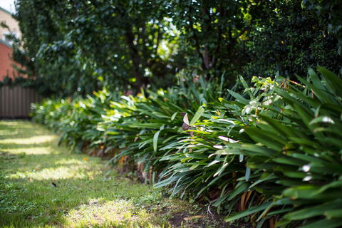 Merivale Motel - Accommodation Gold Coast 2