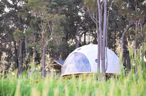 Mile End Glamping Pty Ltd - Gold Coast 4U 2