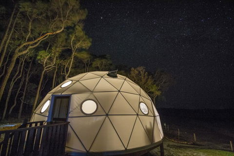 Mile End Glamping Pty Ltd - Gold Coast 4U 3