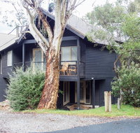 Milkwood - Accommodation Gold Coast