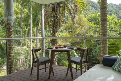 Mist At Cape Tribulation - Accommodation Gold Coast 2