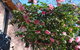 Mountain Gate Villa - thumb 1