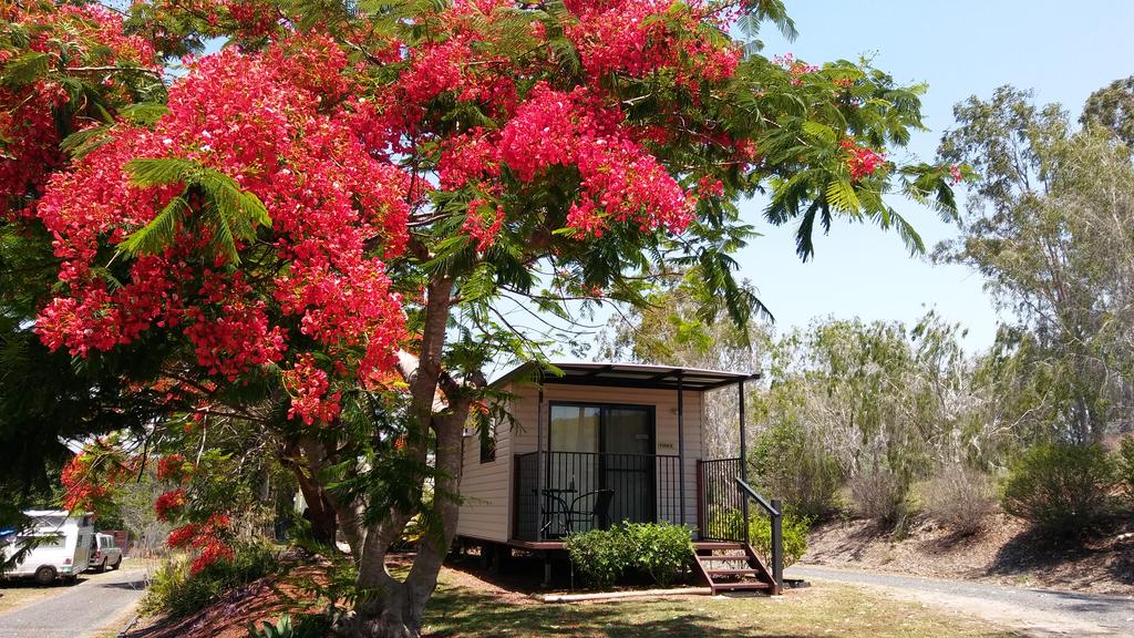 Ambrose QLD 1 Gold Coast