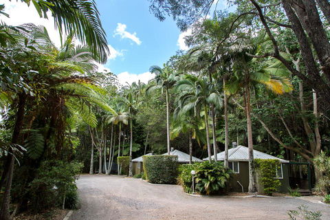Nambour Rainforest Holiday Village - Accommodation Gold Coast 2