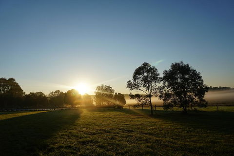 Narangba Motel (formerly Brisbane North B&B And Winery) - Accommodation Gold Coast 2