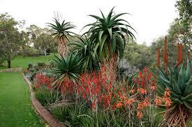 Dunes Scarborough Beach - Accommodation Gold Coast 34