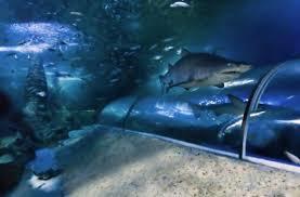 Dunes Scarborough Beach - Accommodation Gold Coast 29