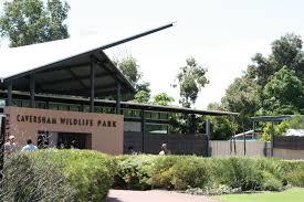 Dunes Scarborough Beach - Accommodation Gold Coast 40