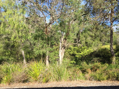 Cape Villas Dunsborough Unit 2 - Gold Coast 4U 26