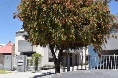 Central Executive Townhouse - Gold Coast 4U 9