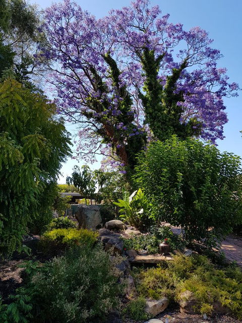 Jacaranda Hideaway Bed & Breakfast - Accommodation Gold Coast 10
