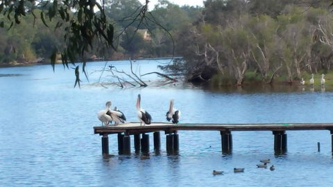 Jacaranda Hideaway Bed & Breakfast - Accommodation Gold Coast 18