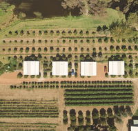 Swan Valley Sisters - Accommodation Gold Coast