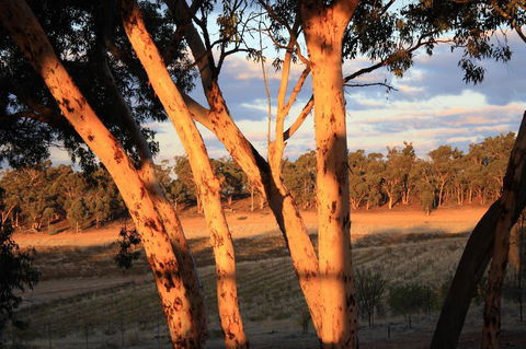 Hotham Ridge Estate - Gold Coast 4U 30