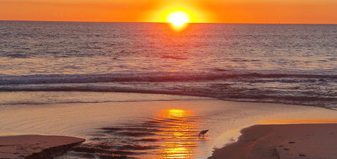 Seashore Memories - Sleeps 3 - Gold Coast 4U 25