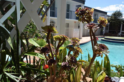 Seashore Memories - Sleeps 3 - Gold Coast 4U 14