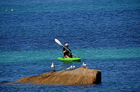 Sandpiper Retreat - Gold Coast 4U 29
