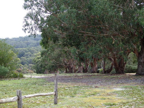 Riverside Retreat Chalets, Walpole - Accommodation Gold Coast 17