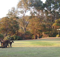Riverside Retreat Chalets Walpole - Accommodation Gold Coast