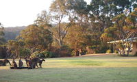 Book Walpole Accommodation Vacations Accommodation Gold Coast Accommodation Gold Coast