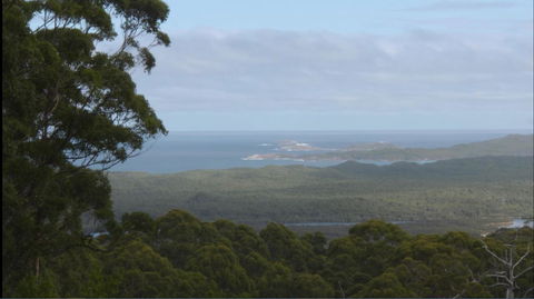 Riverside Retreat Chalets, Walpole - Accommodation Gold Coast 30