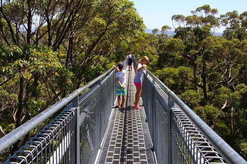 Bayside Villas - Accommodation Gold Coast 16