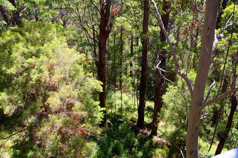 Bayside Villas - Accommodation Gold Coast 5