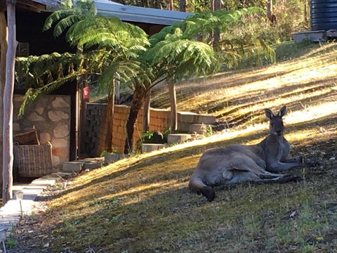 Kangaroo Valley Cottage - Accommodation Gold Coast 3