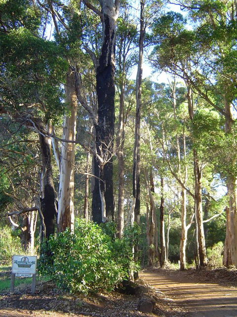 Kangaroo Valley Cottage - Accommodation Gold Coast 21
