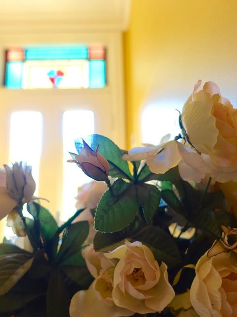 The Blacksmiths Cottage - Accommodation Gold Coast 16