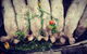 Kellers Bed And Breakfast - thumb 34