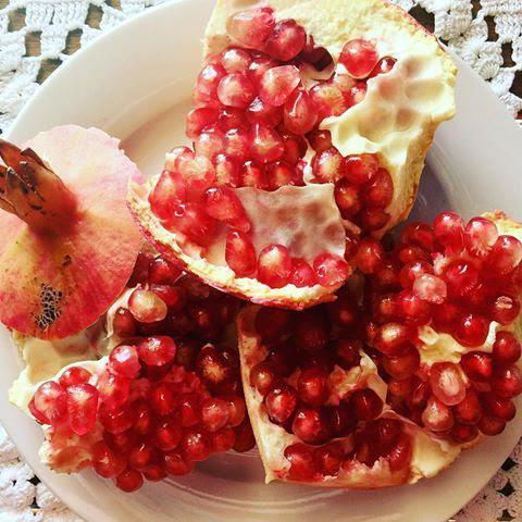 Kellers Bed And Breakfast - Accommodation Gold Coast 31