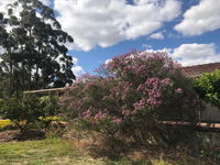 Book Cockburn Central Accommodation Vacations Accommodation Gold Coast Accommodation Gold Coast