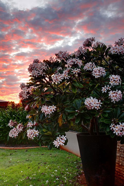 Mantra Frangipani Broome - Gold Coast 4U 35