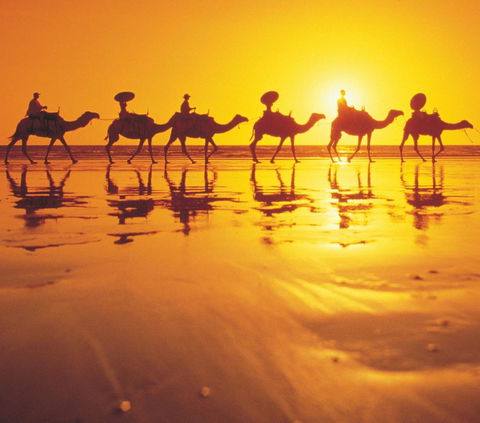 Mantra Frangipani Broome - Gold Coast 4U 6