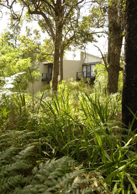 Margarets Forest - Gold Coast 4U 41