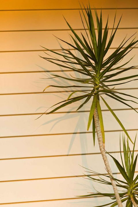 The Billi Resort - Gold Coast 4U 44