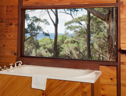 Pelicans At Denmark - Accommodation Gold Coast 10