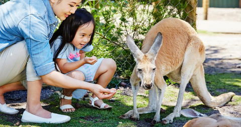 Banksia Tourist Park - Accommodation Gold Coast 29
