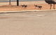 Exmouth 4 Escape - thumb 22