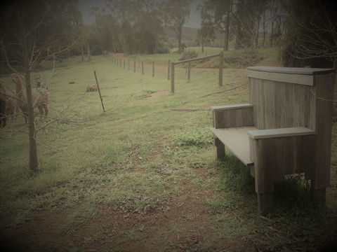 Tegwan's Nest Holiday Home - Accommodation Gold Coast 43