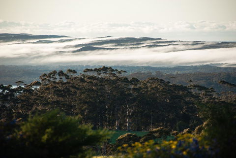Celestine Retreat - Gold Coast 4U 13