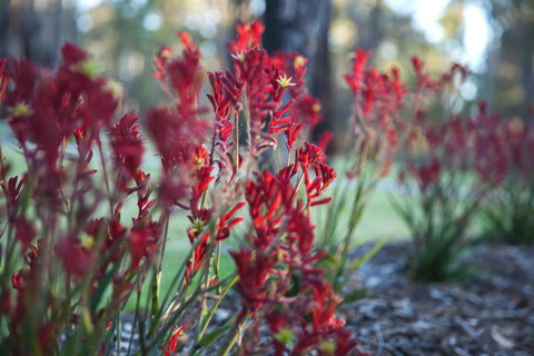 Amaroo Retreat & Spa - Accommodation Gold Coast 16