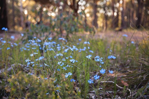 Amaroo Retreat & Spa - Accommodation Gold Coast 15