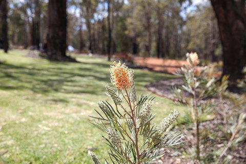 Amaroo Retreat & Spa - Accommodation Gold Coast 19