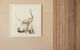 Margaret River Retreat - thumb 32