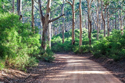 Margaret River Retreat - Gold Coast 4U 20