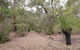 53 Martina Drive - thumb 30