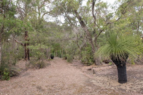 53 Martina Drive - Gold Coast 4U 30