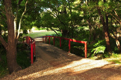 Waterfall Cottages - Gold Coast 4U 17